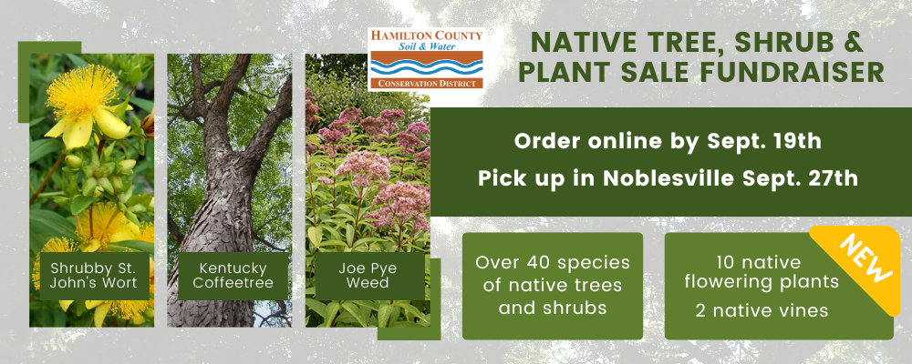 Shop Indiana Native trees and native plants at the Hamilton County Soil and Water Conservation District fundraiser